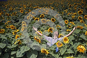 Farmer in sunflower field arms spread out