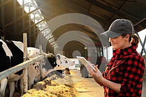 Farmer with tablet computer inspects cows at a dairy farm