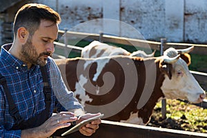 Farmer with tablet in front of cows on ranch