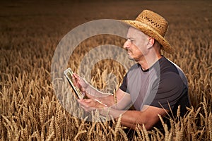 Farmer with a tablet in a wheat field