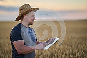 Farmer with a tablet in a wheat field