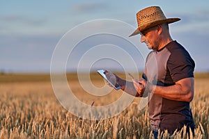 Farmer with a tablet in a wheat field