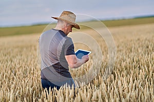 Farmer with a tablet in a wheat field