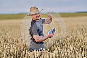 Farmer with a tablet in a wheat field