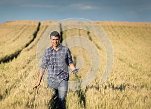 Farmer with tablet in wheat field