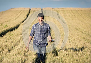 Farmer with tablet in wheat field