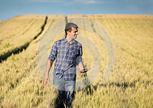 Farmer with tablet in wheat field