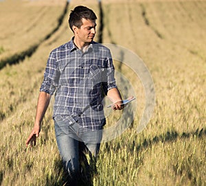 Farmer with tablet in wheat field