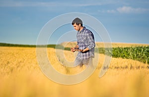 Farmer with tablet in wheat field