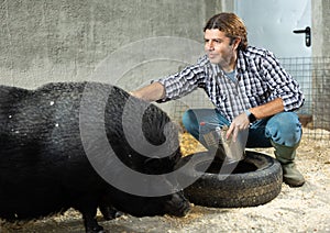 Farmer taking care of a pig