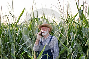 Farmer talking on phone in corn field
