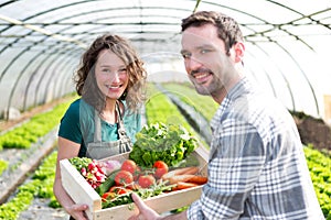 Farmer teaching new employee to gardening