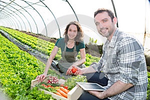 Farmer teaching new employee to gardening