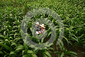 Farmer teaching student enjoy together in the filed