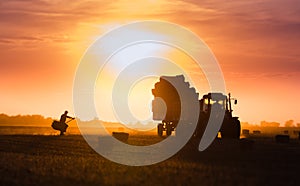 Farmer throw hay bales in a tractor trailer