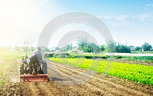 A farmer on a tractor cultivates a field before a new planting. Soil milling, crumbling and mixing. Loosening the surface,