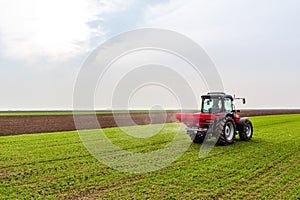 Farmer in tractor fertilizing wheat field at spring with npk