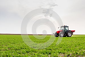 Farmer in tractor fertilizing wheat field at spring with npk