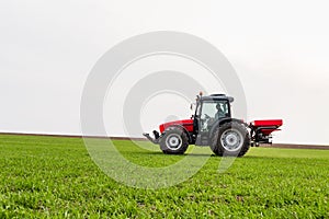 Farmer in tractor fertilizing wheat field at spring with npk