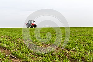 Farmer in tractor fertilizing wheat field at spring with npk