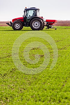 Farmer in tractor fertilizing wheat field at spring with npk