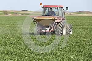 Farmer in tractor fertilizing wheat field