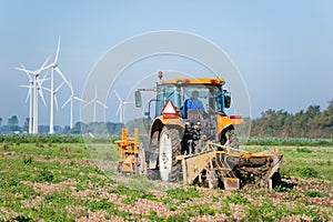 Farmer on tractor harvesting onions