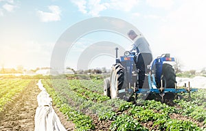 Farmer on a tractor with milling machine loosens, grinds and mixes soil. Farming and agriculture. Cultivation technology equipment