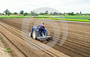 A farmer on a tractor plows the field for further sowing of the crop. Soil preparation. Working with a plow. Growing vegetables photo