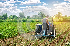 A farmer on a tractor plows a field. Vegetable rows of leeks. Plowing field. Seasonal farm work. Agriculture crops. Farming, photo