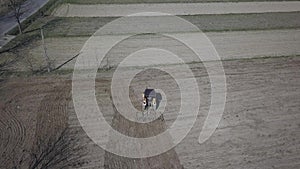 A farmer on a tractor with a seeder sows grain in plowed land in a private field in the village area. Mechanization of spring fiel