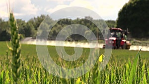 Farmer with tractor spray fertilize field with chemicals