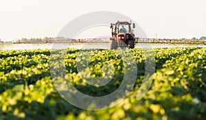 Farmer on a tractor with a sprayer makes fertilizer for young vegetable