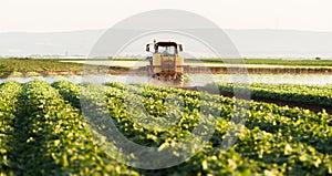 Farmer on a tractor with a sprayer makes fertilizer for young vegetable