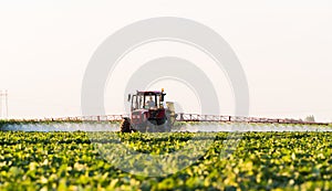 Farmer on a tractor with a sprayer makes fertilizer for young vegetable