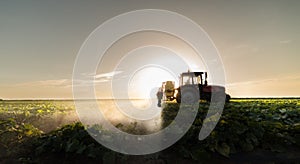 Farmer on a tractor with a sprayer makes fertilizer for young vegetable