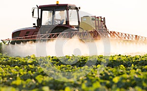 Farmer on a tractor with a sprayer makes fertilizer for young vegetable photo