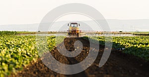 Agricultor sobre el aspersor hace fertilizante joven verdura 