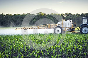 farmer on a tractor with a trailed sprayer makes fertilizer for young corn in the form of microdroplets