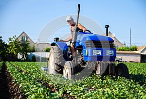 A farmer on a tractor works in the field. Agroindustry and agribusiness. Field work cultivation. Farm machinery. Crop care, soil