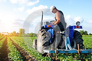 A farmer on a tractor works in the field. A farm worker tills the soil on a plantation. Farm machinery. Crop care. Plowing