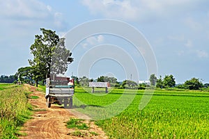 Farmer Transport