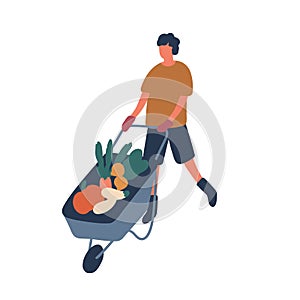 Farmer transporting vegetables flat vector illustration. Young rancher cartoon character. Man pushing trolley with raw