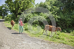 Farmer with Two Cows near Virgin Beach in Karangasem Regency, Bali, Indonesia