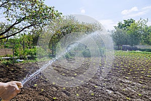 Farmer understands importance of watering garden to keep soil fertile