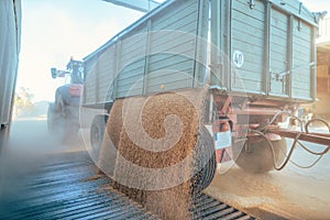 Farmer unloading his grain harvest to the granary