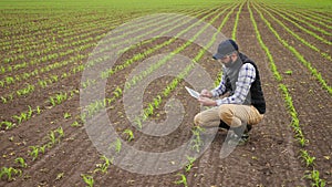 Farmer uses tablet to inspect young green corn plants