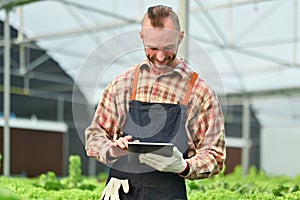 Farmer using digital tablet for checking organic vegetables quality in hydroponic greenhouse. Smart agriculture and