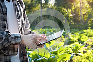 Farmer using digital tablet computer in cultivated agriculture F