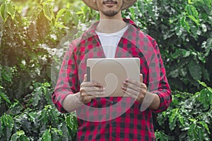 Farmer using digital tablet computer in cultivated coffee field plantation. Modern technology application in agricultural growing